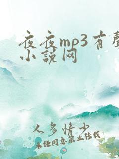 夜夜mp3有声小说网