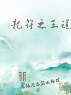 龙符之王道天下