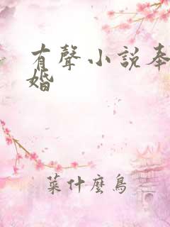 有声小说奉子成婚