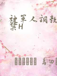 被军人调教到失禁H