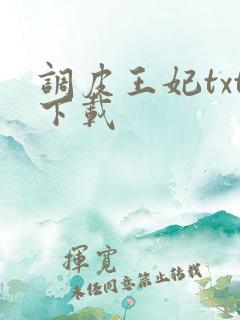 调皮王妃txt下载