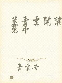 叶青云关禁闭一万年