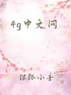 4g中文网