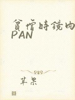 贫僧时镜肉补全PAN