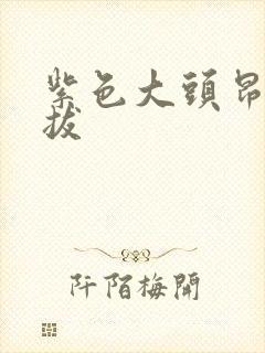 紫色大头昂扬挺拔