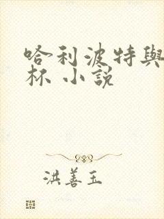 哈利波特与火焰杯 小说