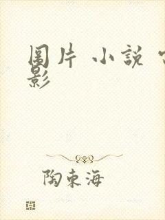 图片 小说 电影