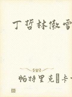 丁哲林傲雪小说