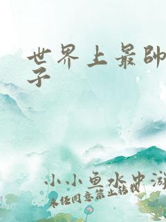 世界上最帅的虫子