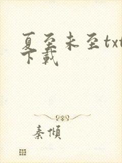 夏至未至txt下载