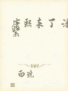 康熙来了 潘迎紫