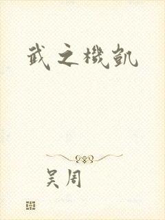 武之机凯