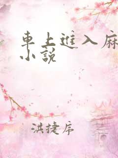 车上进入麻麻的小说