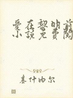 爱在黎明前降落小说免费阅读