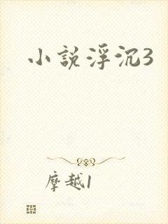 小说浮沉3