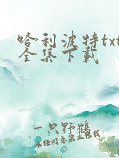 哈利波特txt全集下载