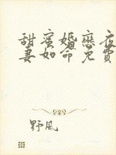 甜蜜婚恋夜少爱妻如命免费阅读