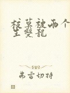 校草被两个体育生双龙