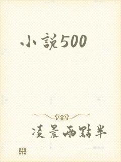 小说500