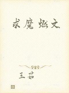 求魔 燃文