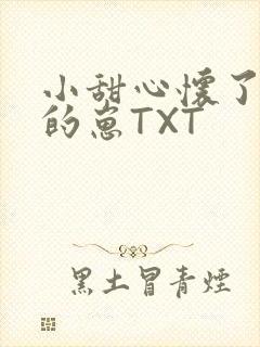 小甜心怀了竹马的崽TXT