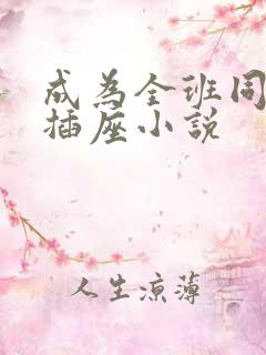 成为全班同学的插座小说