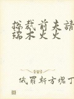 总裁前夫请自重端木火火