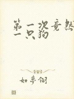 第一次竟然给了一只狗