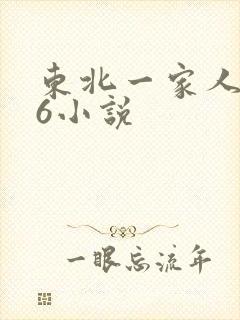 东北一家人1一6小说