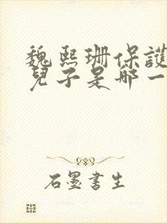 魏熙珊保护萧峥儿子是哪一集