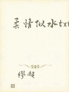 柔情似水txt
