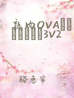 熟肉OVAちゃんはしたい3V2