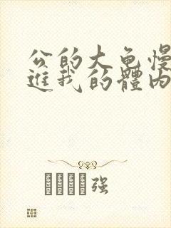 公的大龟慢慢挺进我的体内