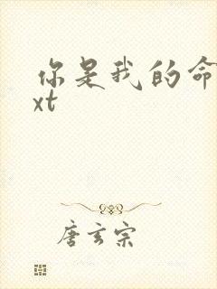 你是我的命运txt