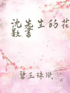 沈先生的花式调数书