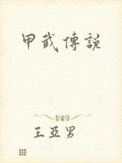 甲武传说