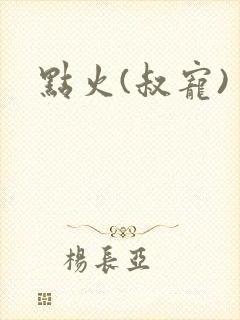 点火(叔宠)