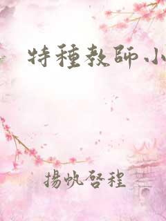 特种教师小说