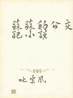 苏苏的公交车日记小说