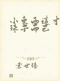 小东西这才一颗珠子而已