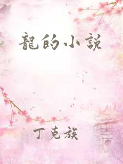 龙的小说