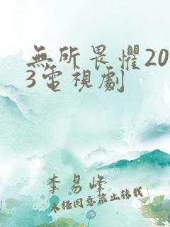 无所畏惧2023电视剧