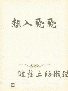 想入飞飞