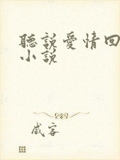 听说爱情回来过小说