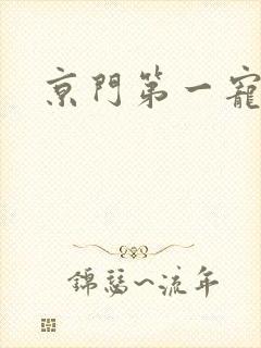 京门第一宠
