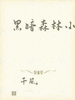 黑暗森林小说