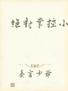 绝对掌控小说