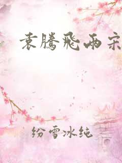 袁腾飞两宋风云