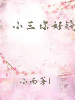 小三你好贱下载