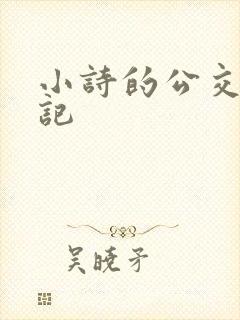 小诗的公交车日记